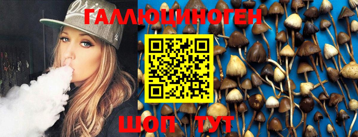Галлюциногенные грибы MAGIC MUSHROOMS  Вход с VPN  Жуковский 